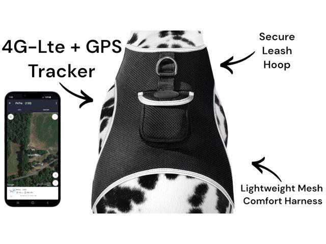 Mini Gps Cat Tracker Waterproof Security Surveillance Tracking Device Size:Xl