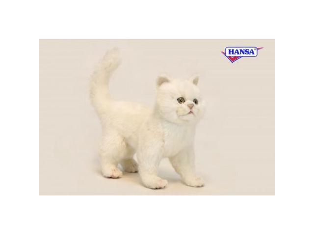 KITTEN CRME Stg 11.5'L