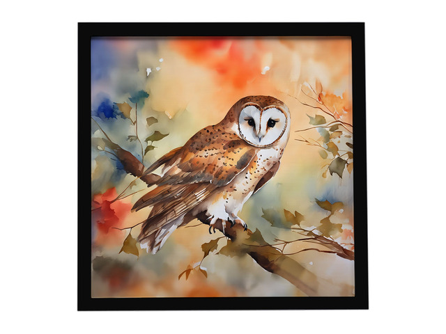 Barn Owl Framed Metal Print Bathroom, Kitchen, Office, Home Decor Wall Art Ready to Hang, Square, 8X8