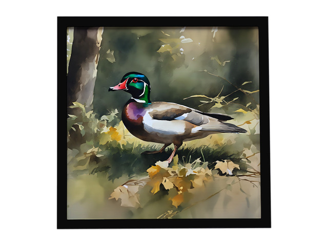 Wood Duck Framed Metal Print Bathroom, Kitchen, Office, Home Decor Wall Art Ready to Hang, Square, 8X8