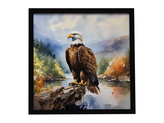 Eagle Framed Metal Print Bathroom, Kitchen, Office, Home Decor Wall Art Ready to Hang, Square, 8X8