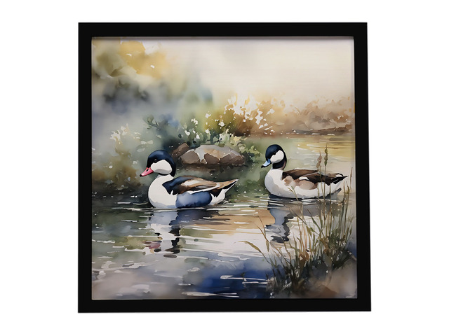 Bufflehead Framed Metal Print Bathroom, Kitchen, Office, Home Decor Wall Art Ready to Hang, Square, 8X8