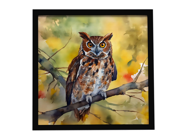 Eastern Screech Owl Framed Metal Print Bathroom, Kitchen, Office, Home Decor Wall Art Ready to Hang, Square, 8X8