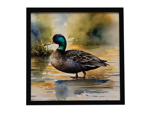 American Black Duck Framed Metal Print Bathroom, Kitchen, Office, Home Decor Wall Art Ready to Hang, Square, 8X8