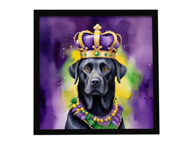 Labrador Retriever King of Mardi Gras Framed Metal Print Bathroom, Kitchen, Office, Home Decor Wall Art Ready to Hang, Square, 8X8