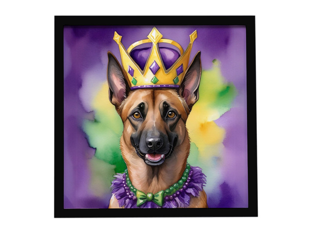 Belgian Malinois King of Mardi Gras Framed Metal Print Bathroom, Kitchen, Office, Home Decor Wall Art Ready to Hang, Square, 8X8