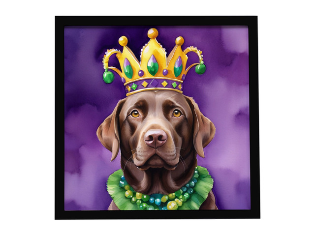 Labrador Retriever King of Mardi Gras Framed Metal Print Bathroom, Kitchen, Office, Home Decor Wall Art Ready to Hang, Square, 8X8