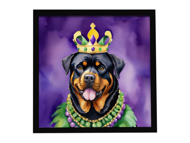 Rottweiler King of Mardi Gras Framed Metal Print Bathroom, Kitchen, Office, Home Decor Wall Art Ready to Hang, Square, 8X8