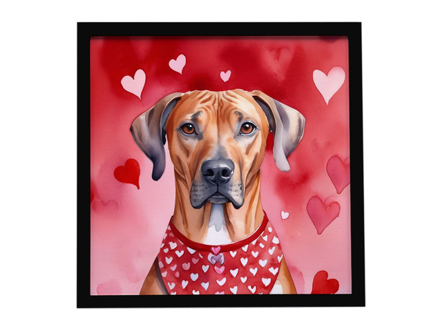 Rhodesian Ridgeback My Valentine Framed Metal Print Bathroom, Kitchen, Office, Home Decor Wall Art Ready to Hang, Square, 8X8