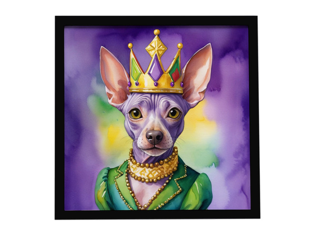 American Hairless Terrier King of Mardi Gras Framed Metal Print Bathroom, Kitchen, Office, Home Decor Wall Art Ready to Hang, Square, 8X8