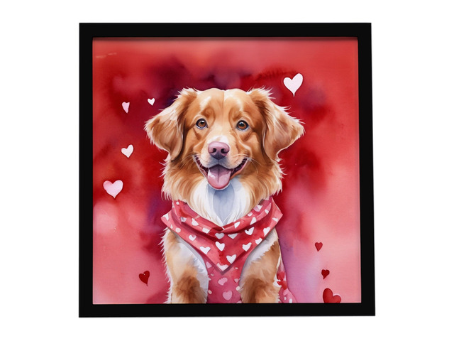 Nova Scotia Duck Tolling Retriever My Valentine Framed Metal Print Bathroom, Kitchen, Office, Home Decor Wall Art Ready to Hang, Square, 8X8