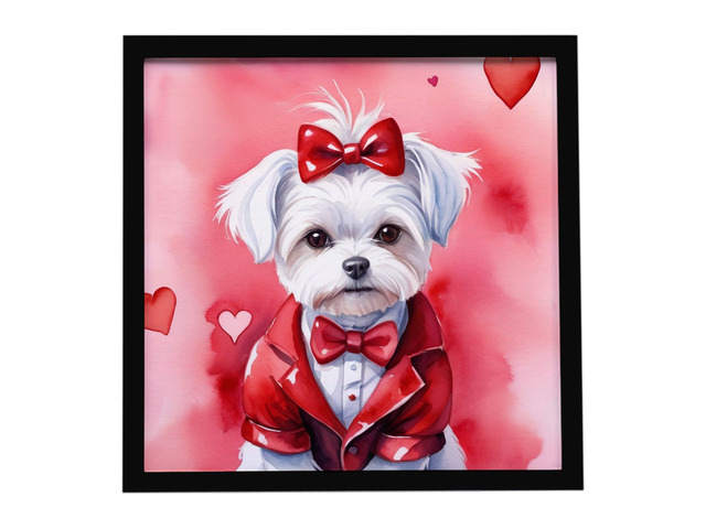 Maltese My Valentine Framed Metal Print Bathroom, Kitchen, Office, Home Decor Wall Art Ready to Hang, Square, 8X8