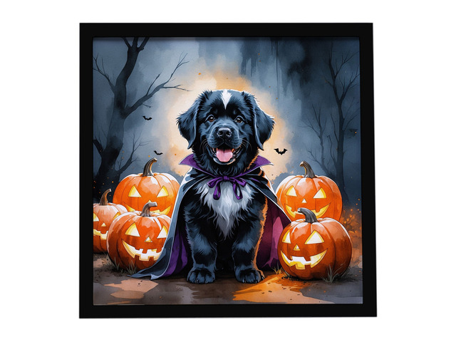 Newfoundland Puppy Halloween Framed Metal Print Bathroom, Kitchen, Office, Home Decor Wall Art Ready to Hang, Square, 8X8