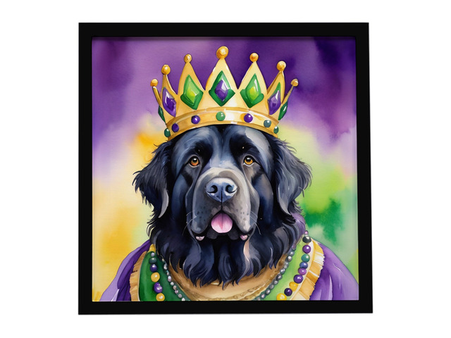 Newfoundland King of Mardi Gras Framed Metal Print Bathroom, Kitchen, Office, Home Decor Wall Art Ready to Hang, Square, 8X8