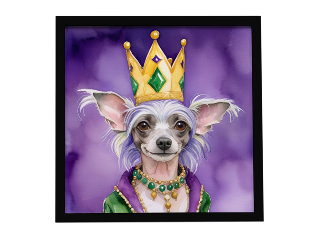 Chinese Crested King of Mardi Gras Framed Metal Print Bathroom, Kitchen, Office, Home Decor Wall Art Ready to Hang, Square, 8X8
