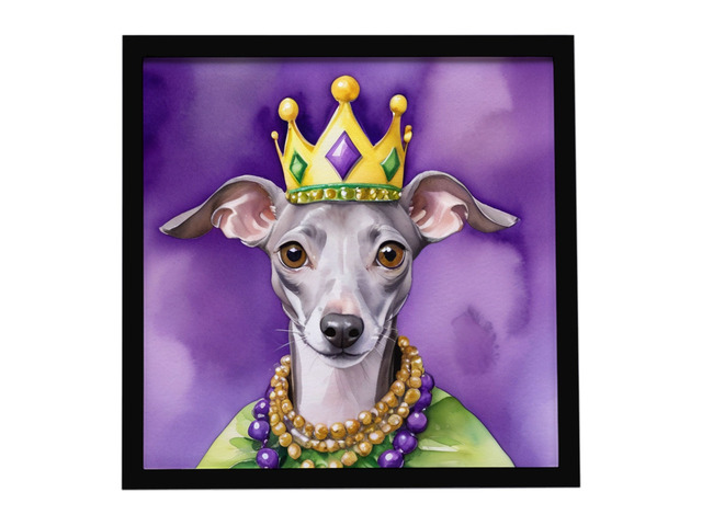 Italian Greyhound King of Mardi Gras Framed Metal Print Bathroom, Kitchen, Office, Home Decor Wall Art Ready to Hang, Square, 8X8