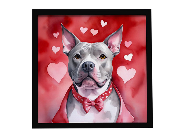 Pit Bull Terrier My Valentine Framed Metal Print Bathroom, Kitchen, Office, Home Decor Wall Art Ready to Hang, Square, 8X8