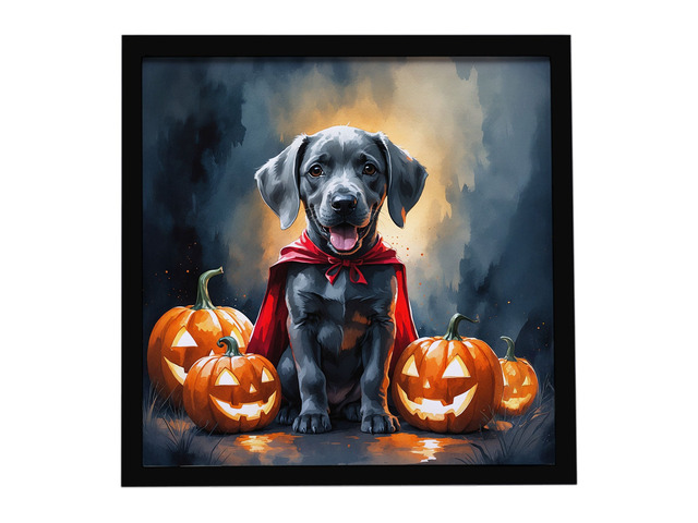 Weimaraner Puppy Halloween Framed Metal Print Bathroom, Kitchen, Office, Home Decor Wall Art Ready to Hang, Square, 8X8