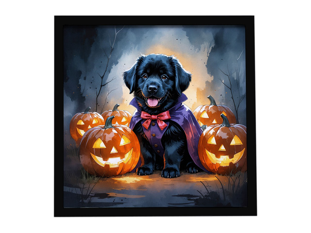 Black Newfoundland Puppy Halloween Framed Metal Print Bathroom, Kitchen, Office, Home Decor Wall Art Ready to Hang, Square, 8X8