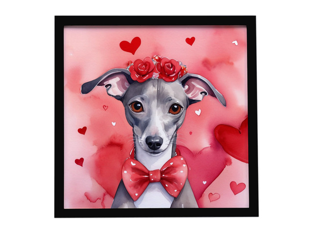 Italian Greyhound My Valentine Framed Metal Print Bathroom, Kitchen, Office, Home Decor Wall Art Ready to Hang, Square, 8X8