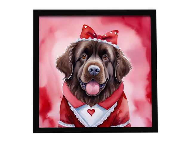Newfoundland My Valentine Framed Metal Print Bathroom, Kitchen, Office, Home Decor Wall Art Ready to Hang, Square, 8X8