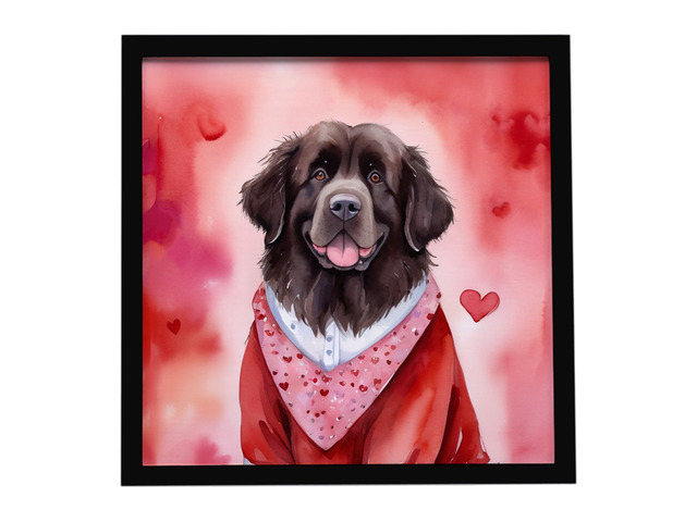 Newfoundland My Valentine Framed Metal Print Bathroom, Kitchen, Office, Home Decor Wall Art Ready to Hang, Square, 8X8