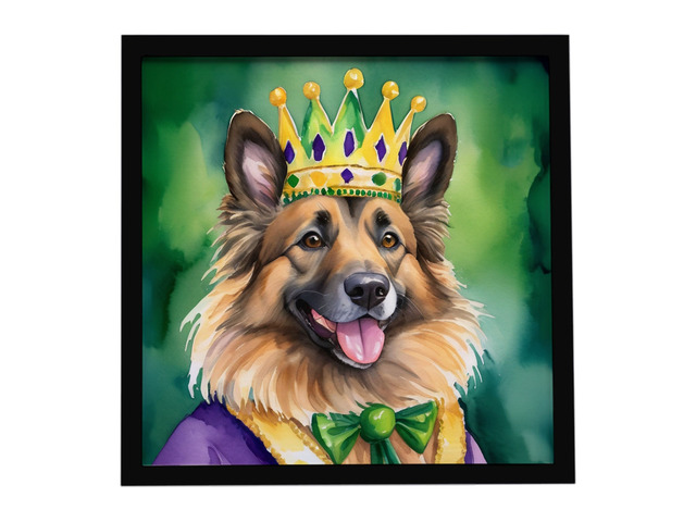 Belgian Tervuren King of Mardi Gras Framed Metal Print Bathroom, Kitchen, Office, Home Decor Wall Art Ready to Hang, Square, 8X8
