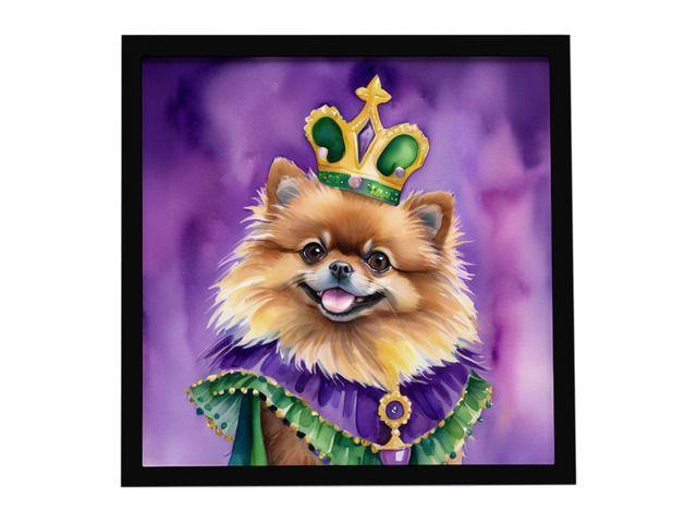 Pomeranian King of Mardi Gras Framed Metal Print Bathroom, Kitchen, Office, Home Decor Wall Art Ready to Hang, Square, 8X8