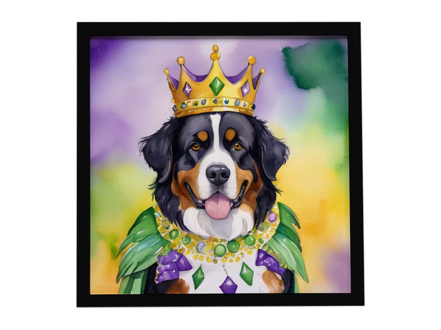 Bernese Mountain Dog King of Mardi Gras Framed Metal Print Bathroom, Kitchen, Office, Home Decor Wall Art Ready to Hang, Square, 8X8
