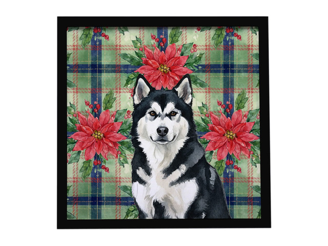 Black and White Alaskan Malamute Christmas PoinsettIas Framed Metal Print Bathroom, Kitchen, Office, Home Decor Wall Art Ready to Hang, Square, 8X8