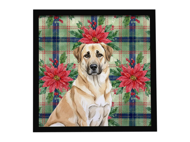 Anatolian Shepherd Dog Christmas PoinsettIas Framed Metal Print Bathroom, Kitchen, Office, Home Decor Wall Art Ready to Hang, Square, 8X8