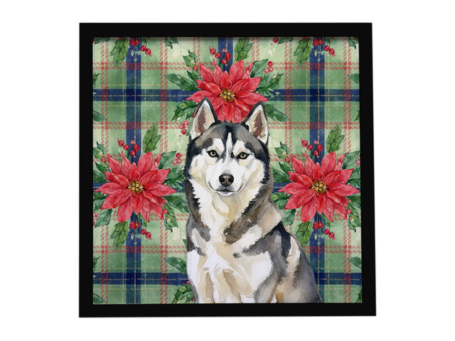 Agouti Siberian Husky Christmas PoinsettIas Framed Metal Print Bathroom, Kitchen, Office, Home Decor Wall Art Ready to Hang, Square, 8X8