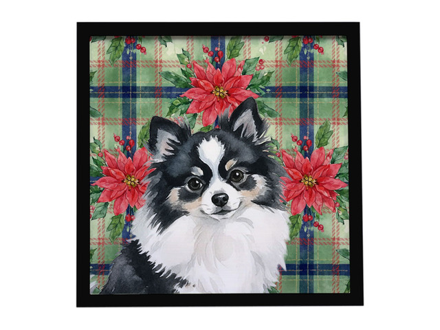 Black and White Pomeranian Christmas PoinsettIas Framed Metal Print Bathroom, Kitchen, Office, Home Decor Wall Art Ready to Hang, Square, 8X8