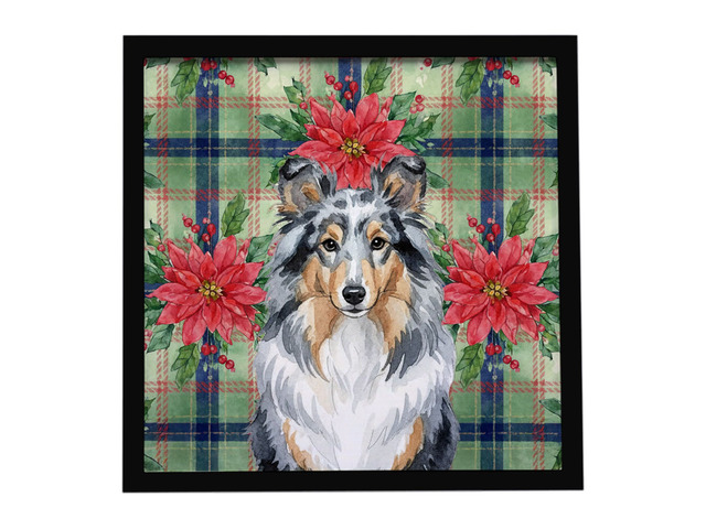 Blue Merle Sheltie Christmas PoinsettIas Framed Metal Print Bathroom, Kitchen, Office, Home Decor Wall Art Ready to Hang, Square, 8X8