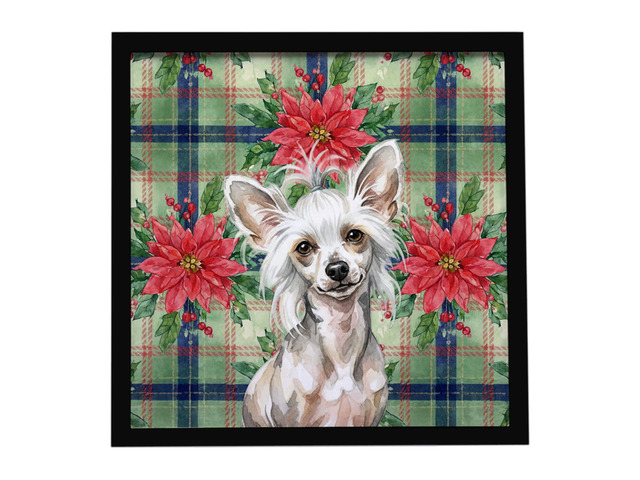 Hairless Mottled Pattern Chinese Crested Christmas PoinsettIas Framed Metal Print Bathroom, Kitchen, Office, Home Decor Wall Art Ready to Hang,...