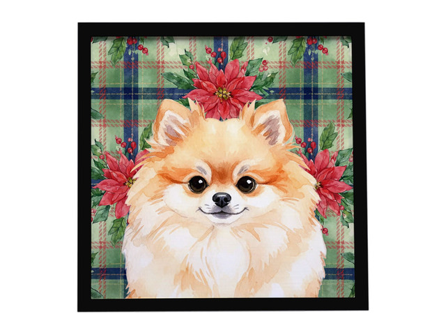 Pomeranian Christmas PoinsettIas Framed Metal Print Bathroom, Kitchen, Office, Home Decor Wall Art Ready to Hang, Square, 8X8
