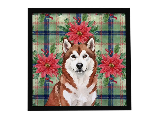 Red and White Alaskan Malamute Christmas Poinsettas Framed Metal Print Bathroom, Kitchen, Office, Home Decor Wall Art Ready to Hang, Square, 8X8