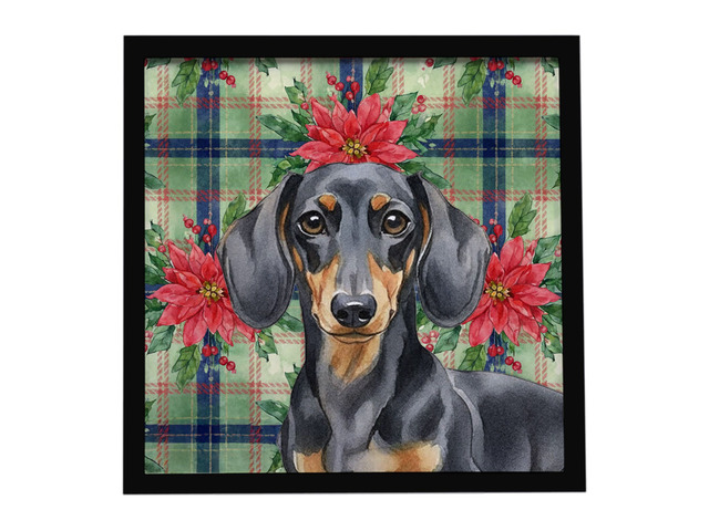 Black and Tan Dachshund Christmas PoinsettIas Framed Metal Print Bathroom, Kitchen, Office, Home Decor Wall Art Ready to Hang, Square, 8X8