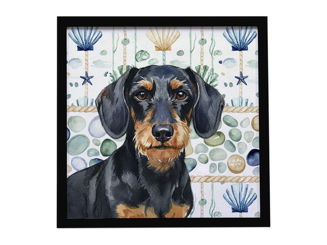 Wirehaired Black and Tan Dachshund Coastal Sea Glass Framed Metal Print Bathroom, Kitchen, Office, Home Decor Wall Art Ready to Hang, Square, 8X8