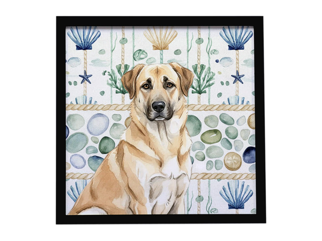 Anatolian Shepherd Dog Coastal Sea Glass Framed Metal Print Bathroom, Kitchen, Office, Home Decor Wall Art Ready to Hang, Square, 8X8