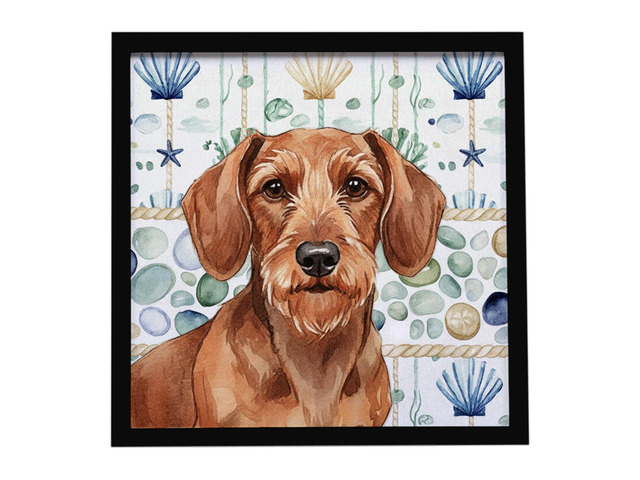 Wirehaired Red Dachshund Coastal Sea Glass Framed Metal Print Bathroom, Kitchen, Office, Home Decor Wall Art Ready to Hang, Square, 8X8