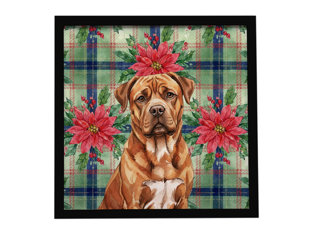 Mahogany Dogue de Bordeaux Christmas PoinsettIas Framed Metal Print Bathroom, Kitchen, Office, Home Decor Wall Art Ready to Hang, Square, 8X8