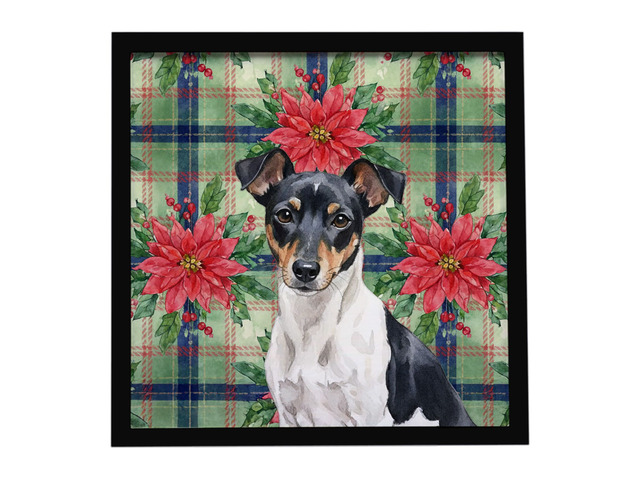 Black and White Rat Terrier Christmas PoinsettIas Framed Metal Print Bathroom, Kitchen, Office, Home Decor Wall Art Ready to Hang, Square, 8X8