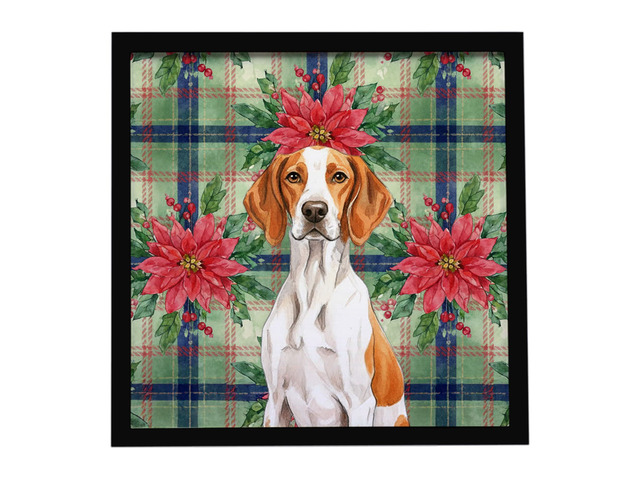Orange and White Pointer Christmas PoinsettIas Framed Metal Print Bathroom, Kitchen, Office, Home Decor Wall Art Ready to Hang, Square, 8X8