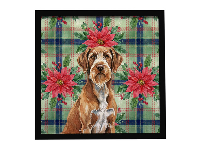Wirehaired Pointing Griffon Christmas PoinsettIas Framed Metal Print Bathroom, Kitchen, Office, Home Decor Wall Art Ready to Hang, Square, 8X8