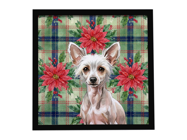 Hairless Chinese Crested Christmas PoinsettIas Framed Metal Print Bathroom, Kitchen, Office, Home Decor Wall Art Ready to Hang, Square, 8X8