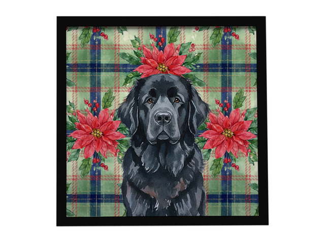 Black Newfoundland Christmas PoinsettIas Framed Metal Print Bathroom, Kitchen, Office, Home Decor Wall Art Ready to Hang, Square, 8X8