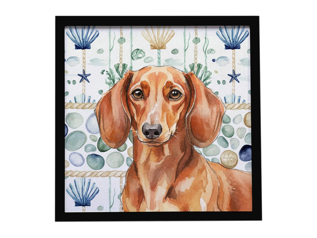 Red Brown Dachshund Coastal Sea Glass Framed Metal Print Bathroom, Kitchen, Office, Home Decor Wall Art Ready to Hang, Square, 8X8
