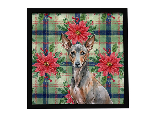 Xoloitzcuintli Christmas PoinsettIas Framed Metal Print Bathroom, Kitchen, Office, Home Decor Wall Art Ready to Hang, Square, 8X8