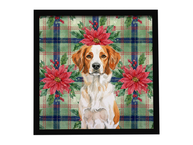 Orange and White Brittany Christmas PoinsettIas Framed Metal Print Bathroom, Kitchen, Office, Home Decor Wall Art Ready to Hang, Square, 8X8